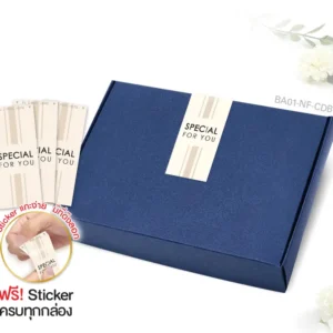 กล่องฝาเสียบ ฝาทึบ 16×22×5cm. สีน้ำเงิน หนา 300แกรม (10ใบ)