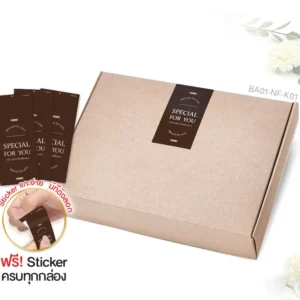 กล่องฝาเสียบ ฝาทึบ 16×22×5cm. คราฟท์ หนา 300แกรม (10ใบ)