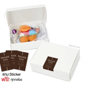 กล่องฝาเสียบ ฝาทึบ 10×13×4cm. สีขาว หนา 270แกรม (10ใบ)